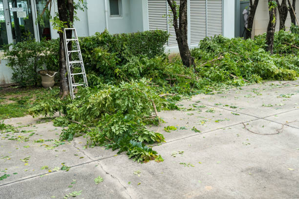 Best Lawn Renovation and Restoration  in Orange Lake, NY